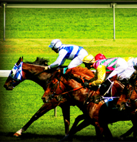 'Night at the Races'