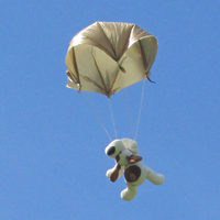 Photograph of previous teddy jumping at a parachute jump
