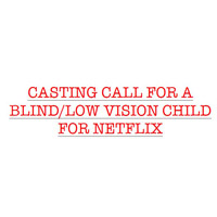 Casting Call for Netflix 