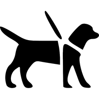 Our Clients with Guide Dogs