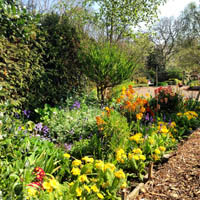 Gardening Group Open Garden