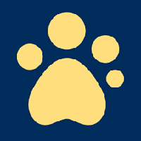 CustomEyes Books Guide Dogs UK