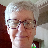 Our Team. Volunteer Profiles