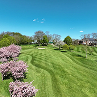 Photo of the course with sherry trees in blossom lining the edge of the photo