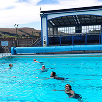 Photo of people lane swimming in the open air pool