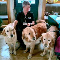 Photo of Annette surrounded by 3 guide dogs