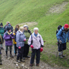 Photograph of walking group
