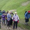 Photograph of walking group