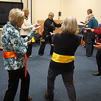 Photogrpah of the group doing Tai Chi