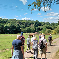 Photo of some people walking in a field with trees to the left and blue sky above