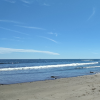 Photo of a beach and the sea with a blue sky in the background